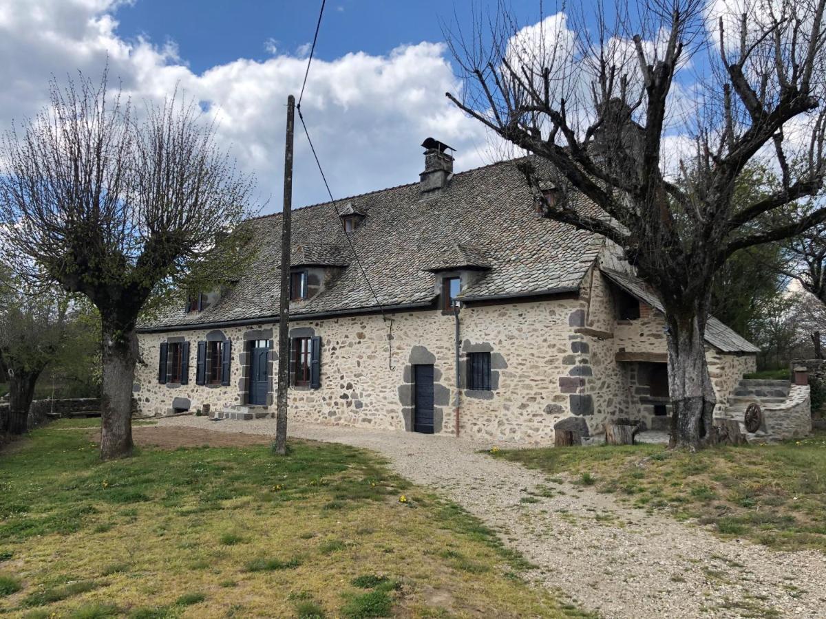 Maison Typique Auvergnate, Piscine Et Four A Pain Saint-Christophe-Les-Gorges Exterior foto