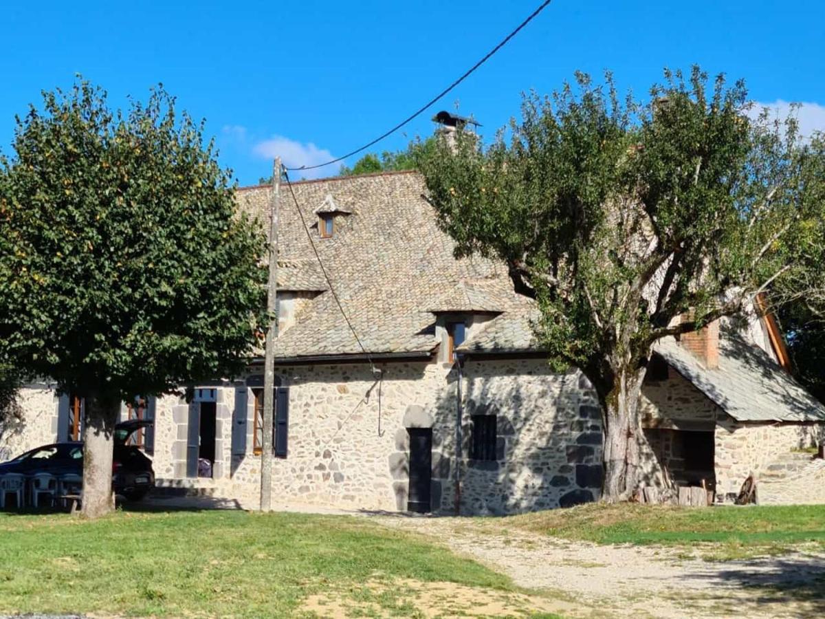 Maison Typique Auvergnate, Piscine Et Four A Pain Saint-Christophe-Les-Gorges Exterior foto